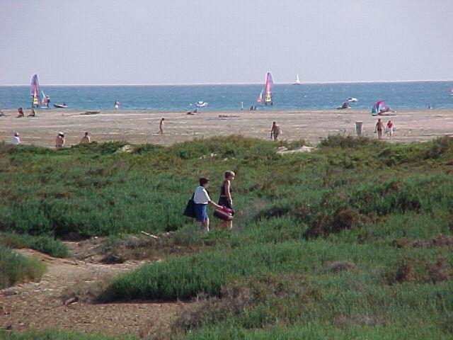 Plage de Matorral