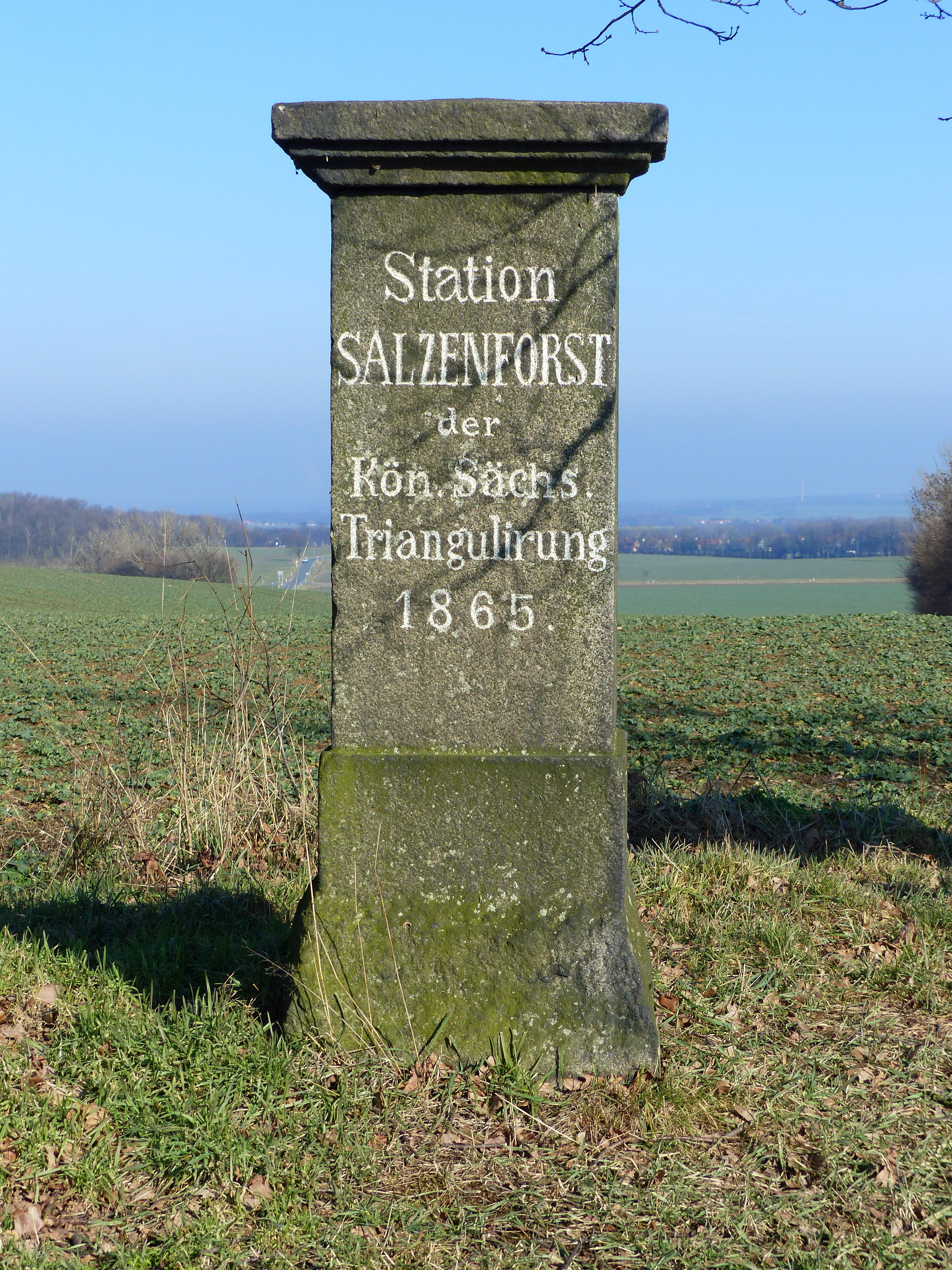 Station 49 Salzenforst