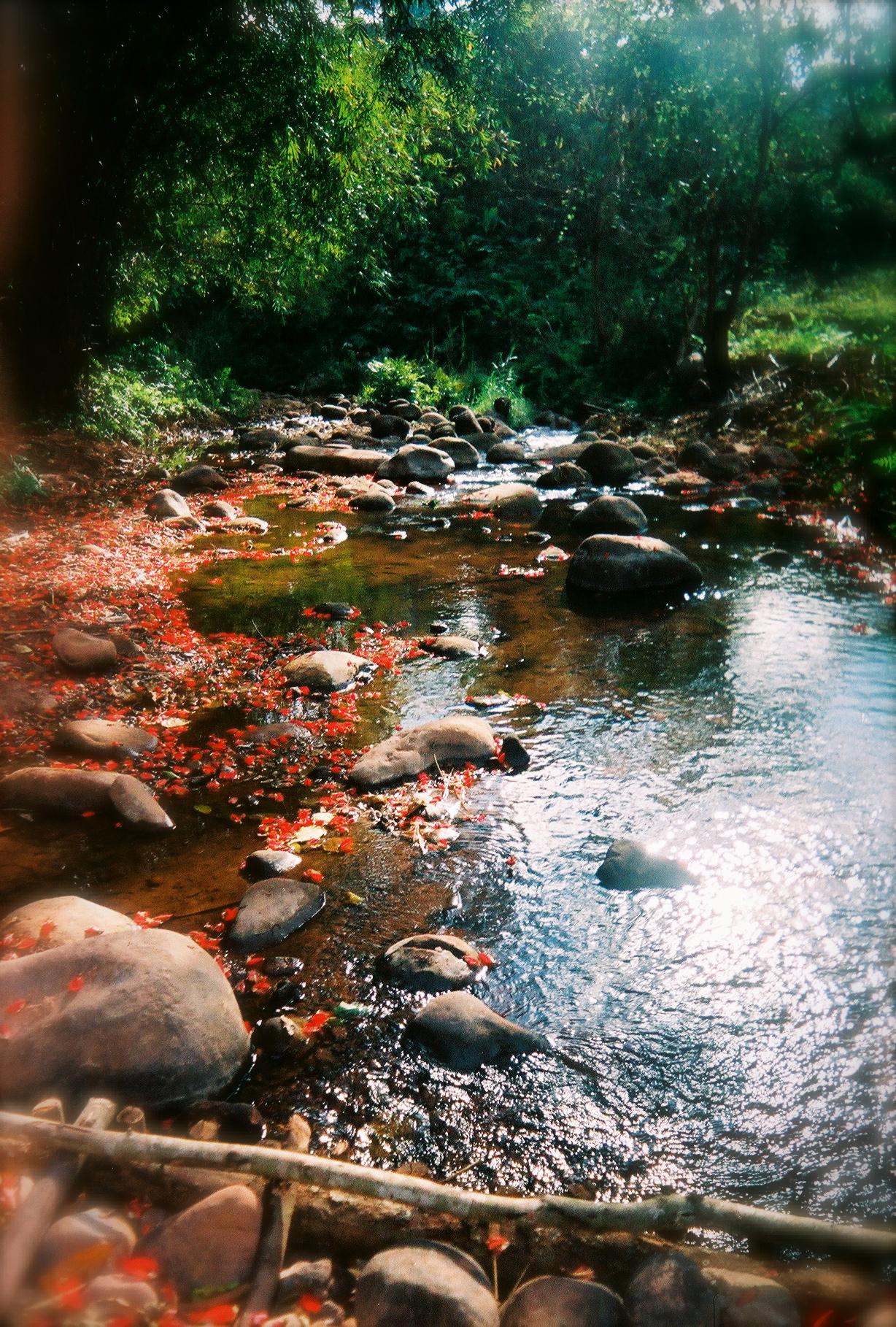 Khun Nan National Park