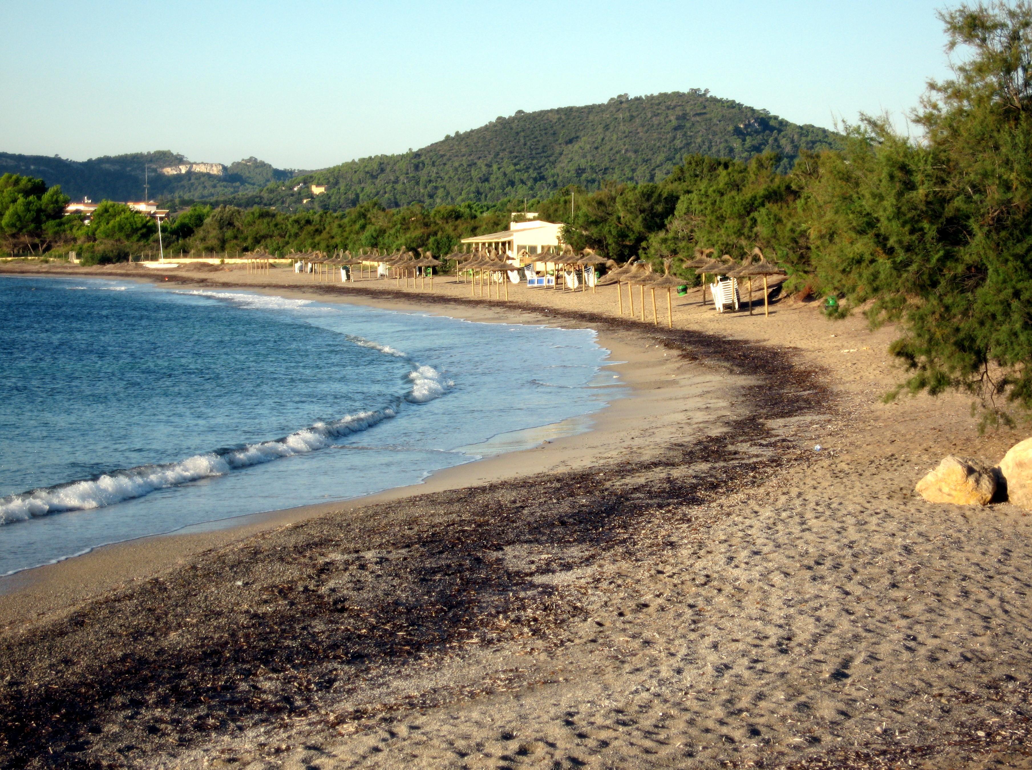 Sa Marjal