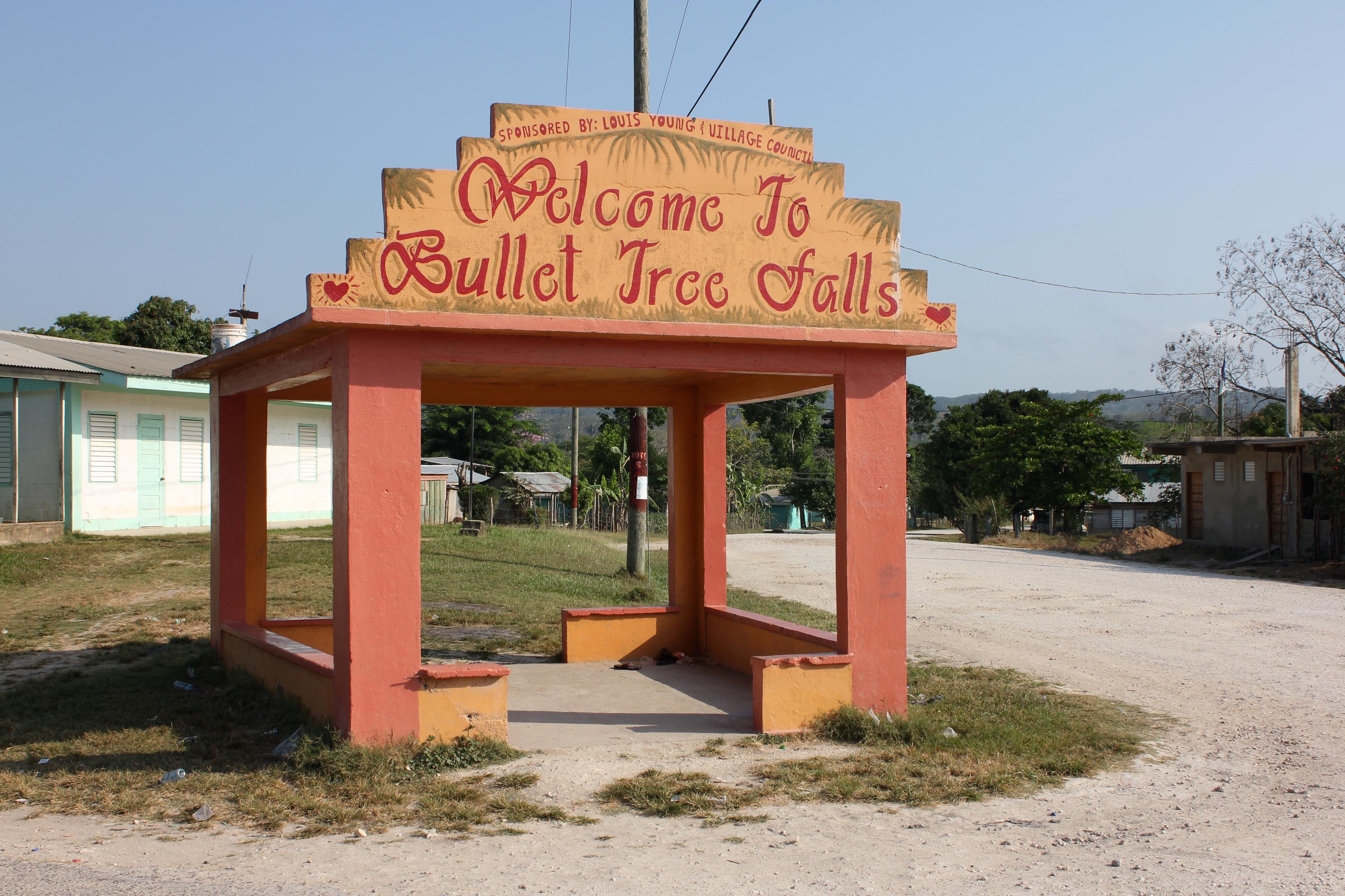 Bullet Tree Falls