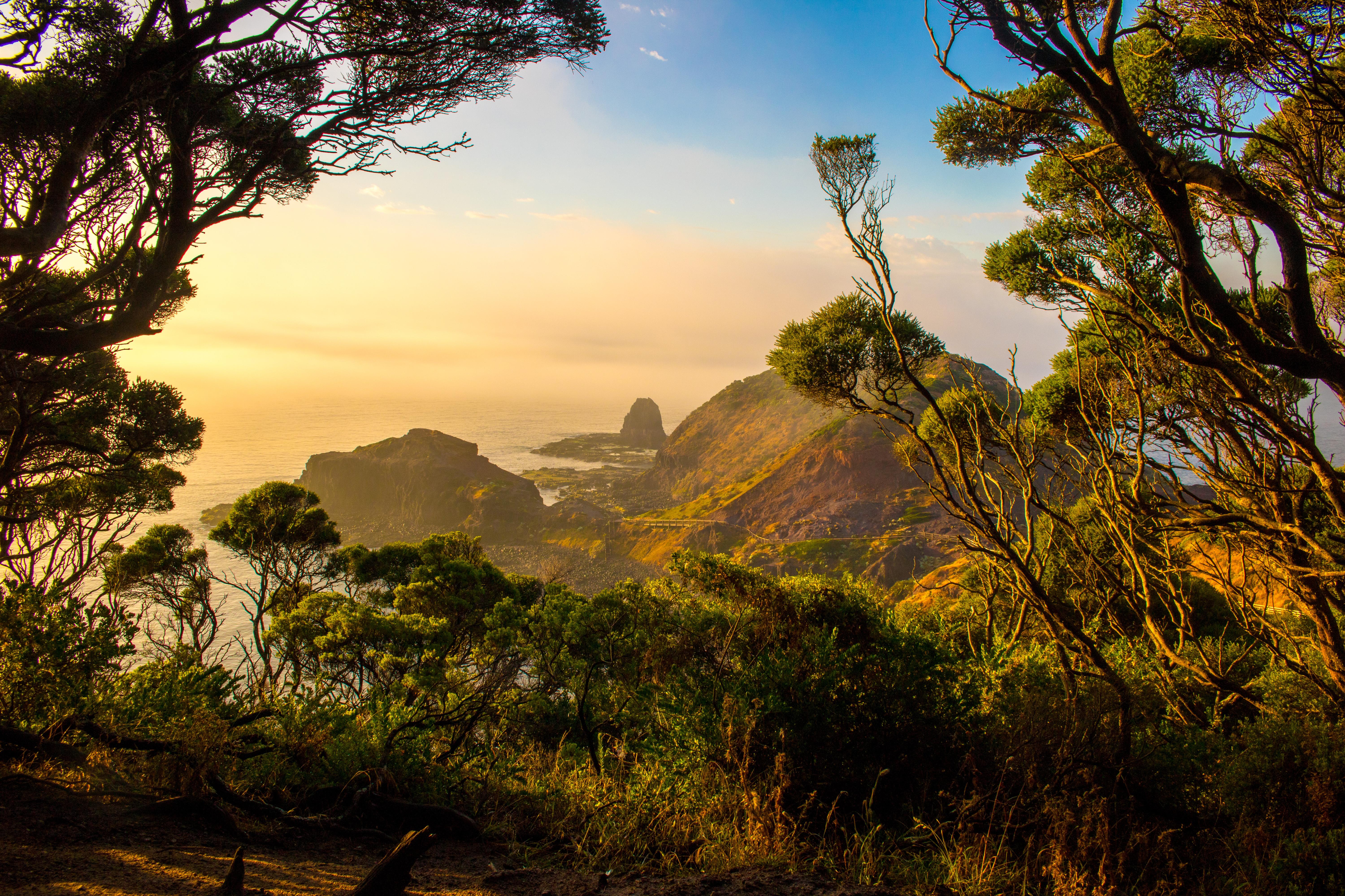 Cape Schanck