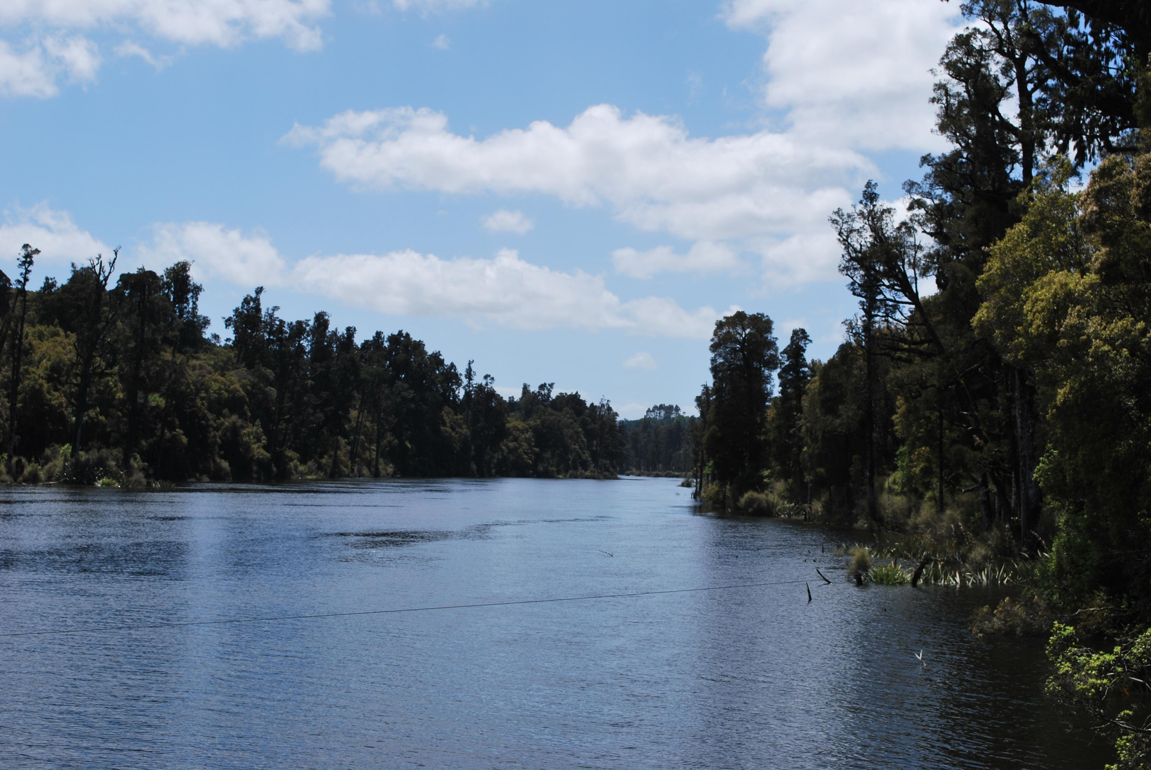 Moana Reserve