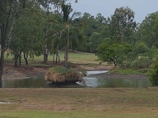 Rockhampton Golf Club