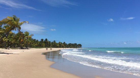 Praia de Ipioca