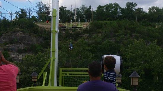 Parakeet Pete's Waterfront Zipline