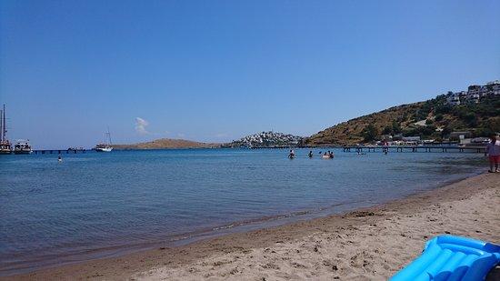 Camels strand