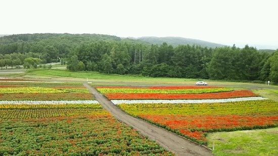 Abashiri Lake View Ski Area