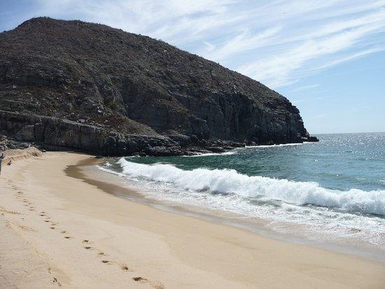 Playa Punta Lobos