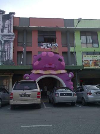 The Country Cat Cafe