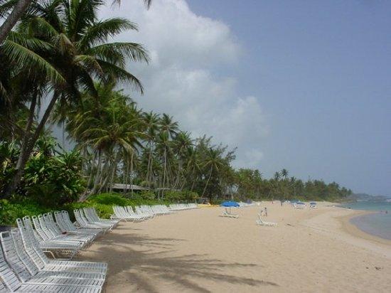 Dorado Beach East
