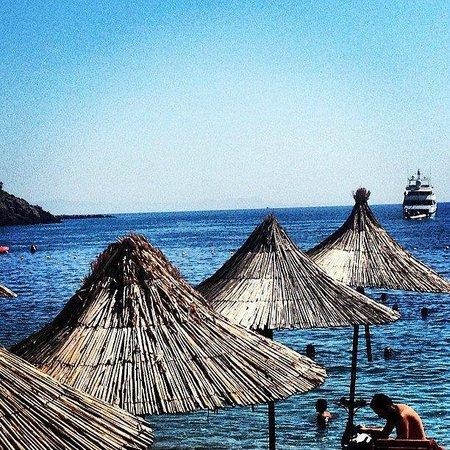 Folie Marine