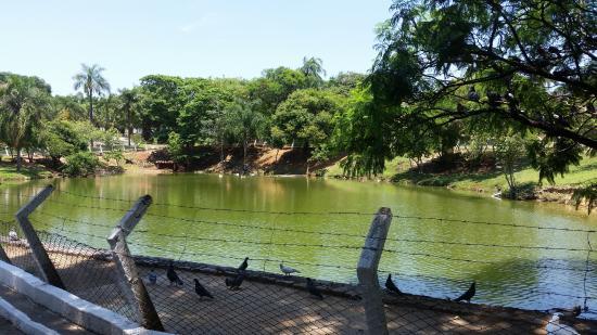 Bosque dos Guarantãs