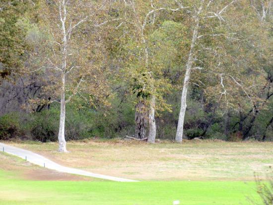 Castle Creek Country Club