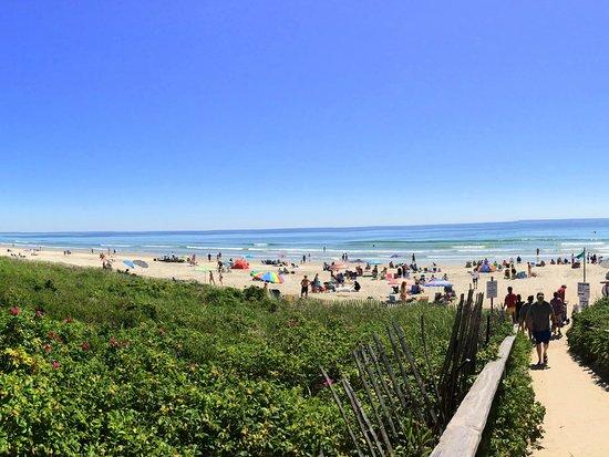 Footbridge Beach