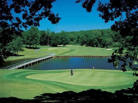 The Golden Eagle Golf Course
