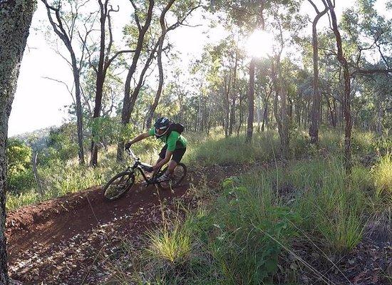 Hidden Vale Adventure Park