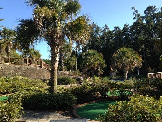 Tupelo Bay Golf Center