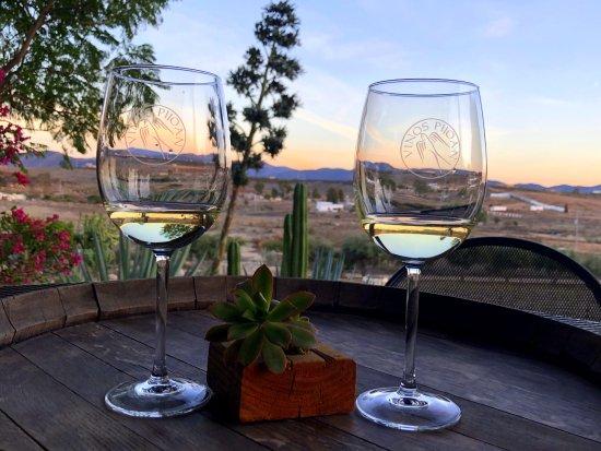 Vinos Pijoan