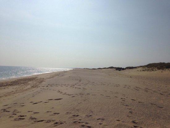Katama Beach