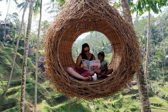 Terrace River Pool Swing