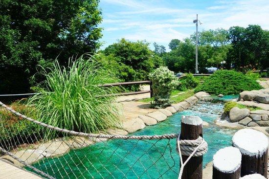 Island Cove Mini Golf