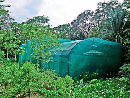 Osa Interactive Gardens