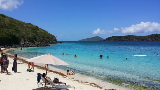Coki Point Beach