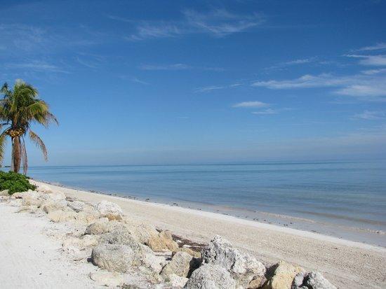 Coco Plum Beach