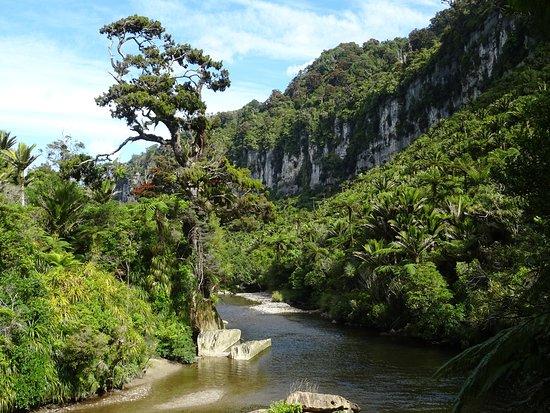 Pororari River Track