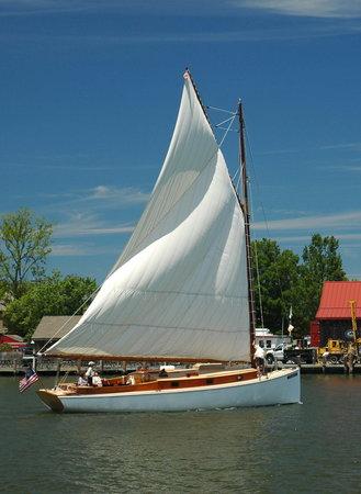 Sail Selina II