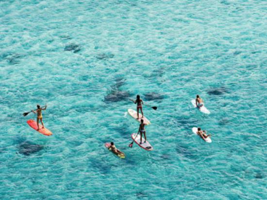 Hopkins Stand-up Paddleboarding