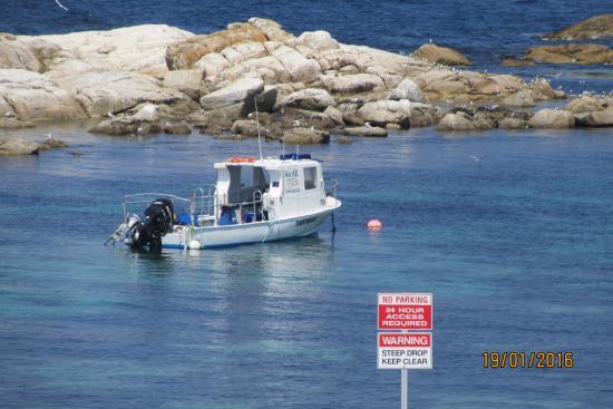 Bicheno's Glass Bottom Boat