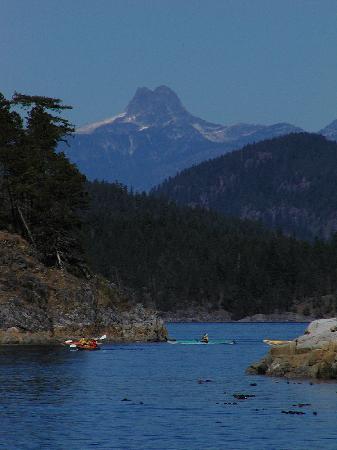 Quadra Island Kayaks