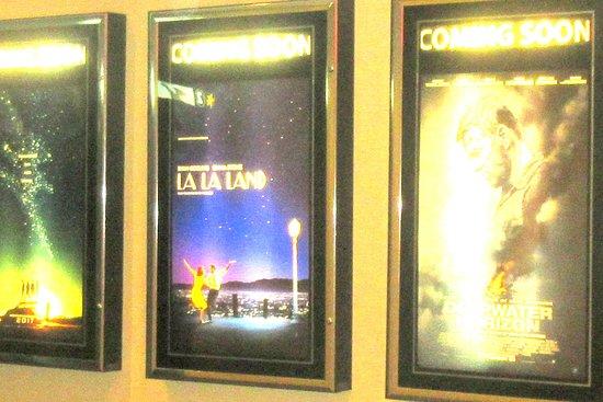 Mount Shasta Cinema