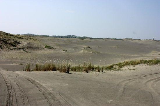 Paoay Sand Dune