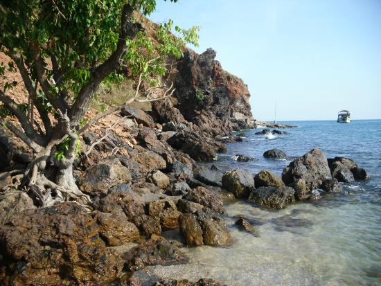 Nual-stranden
