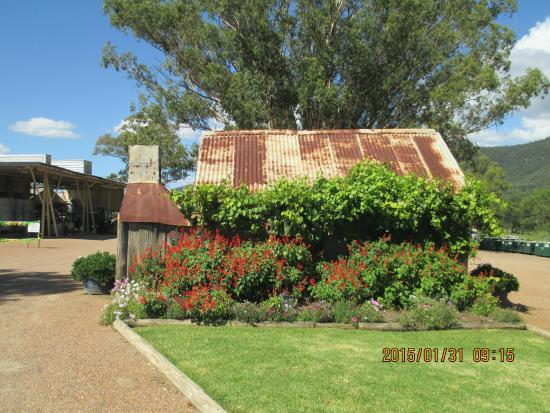 Tyrrell's Wines