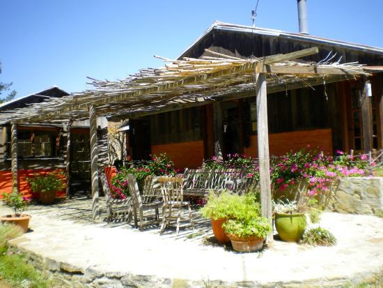 Alma Rosa Winery & Vineyards
