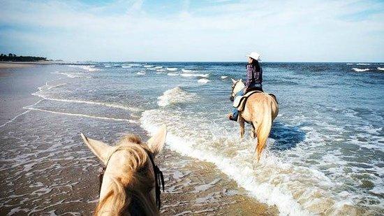 Kelly Seahorse Ranch