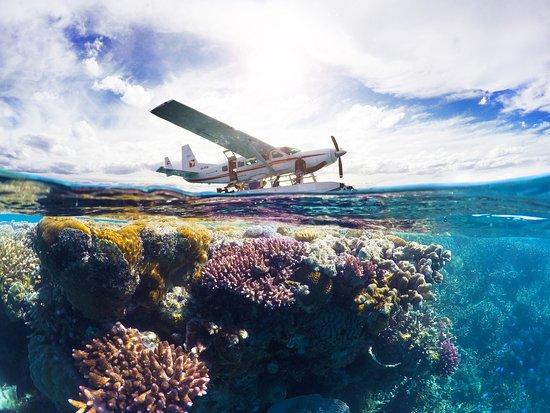 Air Whitsunday Seaplanes