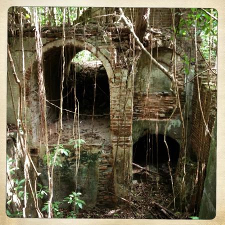 Vieques Conservation & Historical Trust