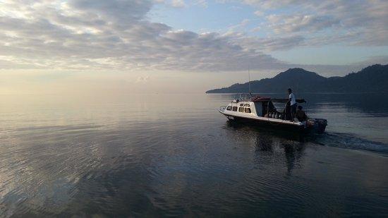 Dive into Ambon