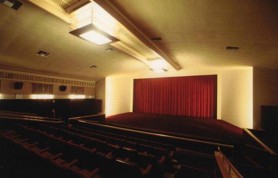 Victa Cinema