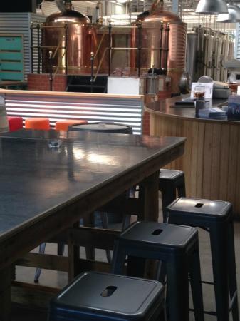 Social Bandit Brewing Co