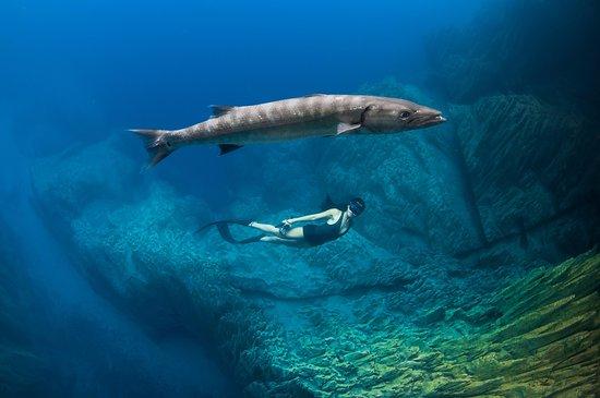 Freediving Coron