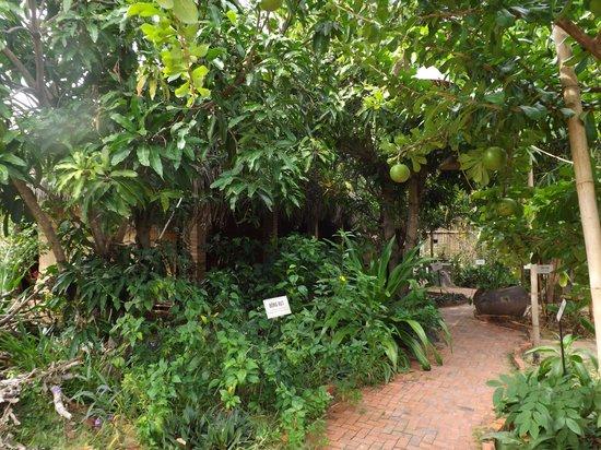Botanica Spa 83b