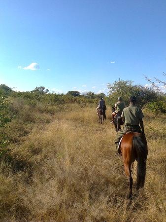 Zambezi Horse Trails