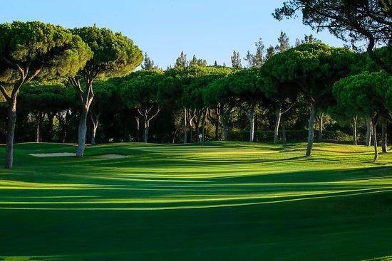 Oceanico Millennium Golf Course