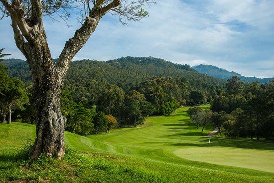 Penha Longa Golf Sahası